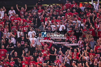 2024-10-31 - Olympiacos Piraeus supporters are having fun during the Euroleague, Round 7 match between Olympiacos Piraeus and FC Barcelona at Peace and Friendship Stadium in Piraeus, Greece, on October 31, 2024. - OLYMPIACOS VS FC BARCELONA - EUROLEAGUE - BASKETBALL