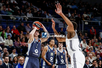 2024-11-21 - Gabriele Procida of Alba Berlin and Walter Samuel Tavares da Veiga of Real Madrid during the Turkish Airlines EuroLeague basketball match between Real Madrid and Alba Berlin on November 21, 2024 at Wizink Center in Madrid, Spain - BASKETBALL - EUROLEAGUE - REAL MADRID V ALBA BERLIN - EUROLEAGUE - BASKETBALL