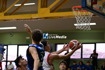 2024-07-05 - Images of the Spain and Greece match at Pala Cian Toma - Domegge (BL) 5 July, 2024, during the 22nd De Silvestro-Meneghin International U20 Basketball Tournament - TORNEO UNDER 20 - 22° MEMORIAL DE SILVESTRO/TROFEO MENEGHIN - SPAGNA VS GRECIA - EVENTS - BASKETBALL