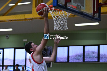 2024-07-05 - Images of the Spain and Greece match at Pala Cian Toma - Domegge (BL) 5 July, 2024, during the 22nd De Silvestro-Meneghin International U20 Basketball Tournament - TORNEO UNDER 20 - 22° MEMORIAL DE SILVESTRO/TROFEO MENEGHIN - SPAGNA VS GRECIA - EVENTS - BASKETBALL