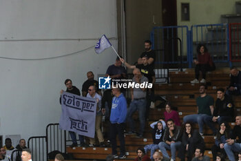 2024-02-11 - GeVi Napoli Basket fans - VANOLI BASKET CREMONA VS GEVI NAPOLI BASKET - ITALIAN SERIE A - BASKETBALL