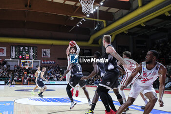 2024-10-12 - #4 Ross Colbey (Pallacanestro Trieste) - BERTRAM DERTHONA TORTONA VS PALLACANESTRO TRIESTE - ITALIAN SERIE A - BASKETBALL