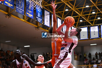 2024-05-21 - Images of the Famila Wuber Schio vs Umana Reyer Venezia match at Palaromare-Schio on May 21, 2024, during the BASKET - LBF Italian Serie A1 (game 3) - PLAYOFF - FAMILA WEBER SCHIO VS UMANA REYER VENEZIA - ITALIAN SERIE A1 WOMEN - BASKETBALL