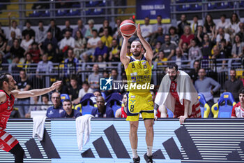 2024-04-08 - # 8 Matteo Schina (Reale Mutua Basket Torino) - REALE MUTUA BASKET TORINO VS RIVIERABANCA BASKET RIMINI - ITALIAN SERIE A2 - BASKETBALL