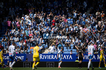 2024-04-21 - Supporters of RCD Espanyol are seen during a La Liga Hypermotion match between RCD Espanyol and FC Andorra at Stage Front Stadium, in Barcelona, ,Spain on April 21, 2024. Photo by Felipe Mondino - RCD ESPANYOL - FC ANDORRA - OTHER - SOCCER