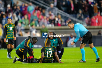 2024-11-18 - Referee Mario Escobar and team trainers attend to Jamaica defender Damion Lowe (17) - CONCACAF NATIONS LEAGUE - USA VS JAMAICA - OTHER - SOCCER