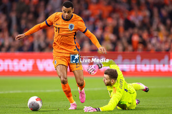 2024-03-22 - Cody Gakpo of Netherlands dribbles past goalkeeper Angus Gunn of Scotland during the International Friendly football match between Netherlands and Scotland on March 22, 2024 at Johan Cruijff ArenA in Amsterdam, Netherlands - FOOTBALL - FRIENDLY GAME - NETHERLANDS V SCOTLAND - FRIENDLY MATCH - SOCCER