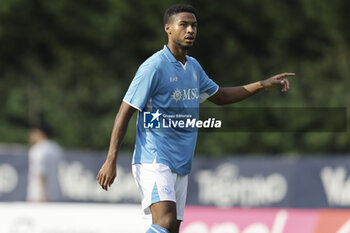 2024-07-16 - Napoli's Swedish midfielder Jens Cajuste gesticulate during friendly match SSC Napoli Anaune val di Non SSC Napoli's 2024-25 preseason training camp in val di sole in Trentino, Dimaro Folgarida

 - NAPOLI VS ANAUNE VAL DI NON - FRIENDLY MATCH - SOCCER