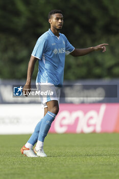 2024-07-16 - Napoli's Swedish midfielder Jens Cajuste gesticulate during friendly match SSC Napoli Anaune val di Non SSC Napoli's 2024-25 preseason training camp in val di sole in Trentino, Dimaro Folgarida

 - NAPOLI VS ANAUNE VAL DI NON - FRIENDLY MATCH - SOCCER