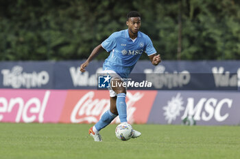 2024-07-16 - Napoli's Swedish midfielder Jens Cajuste controls the ball during friendly match SSC Napoli Anaune val di Non SSC Napoli's 2024-25 preseason training camp in val di sole in Trentino, Dimaro Folgarida

 - NAPOLI VS ANAUNE VAL DI NON - FRIENDLY MATCH - SOCCER