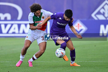 2024-07-19 - ACF Fiorentina's defender Fabiano Parisi against AC Reggiana's midfielder Antonio Vergara - ACF FIORENTINA VS AC REGGIANA - FRIENDLY MATCH - SOCCER