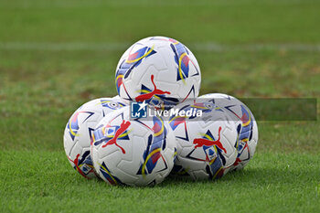 2024-08-03 - Official Puma Balls Serie A 2024/2025 - EMPOLI FC VS UC SAMPDORIA - FRIENDLY MATCH - SOCCER