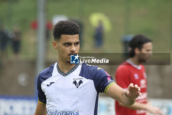 2024-07-24 - Elayis Tavsan of Hellas Verona during Hellas Verona FC vs Virtus Verona FC, 3° Test Match, at Centro Sportivo 'La Pineta' on Folgaria (TN), on July 24, 2024. - HELLAS VERONA FC VS VIRTUS VERONA - FRIENDLY MATCH - SOCCER