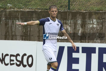 2024-07-24 - Darko Lazovic of Hellas Verona play the ball during Hellas Verona FC vs Virtus Verona FC, 3° Test Match, at Centro Sportivo 'La Pineta' on Folgaria (TN), on July 24, 2024. - HELLAS VERONA FC VS VIRTUS VERONA - FRIENDLY MATCH - SOCCER