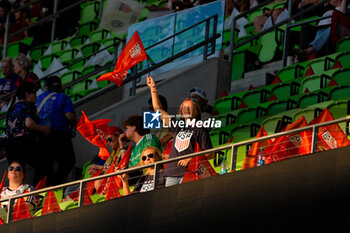 2024-10-24 - Fans of the United States wave flags before the start of an international friendly soccer match - USA WOMEN VS ICELAND WOMEN - FRIENDLY MATCH - SOCCER