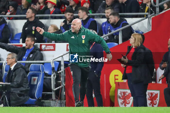 2024-03-21 - Wales Manager Robert Page during the UEFA Euro 2024, Play-off football match between Wales and Finland on 21 March 2024 at Cardiff City Stadium in Cardiff, Wales - FOOTBALL - EURO 2024 - PLAY OFF - WALES V FINLAND - UEFA EUROPEAN - SOCCER