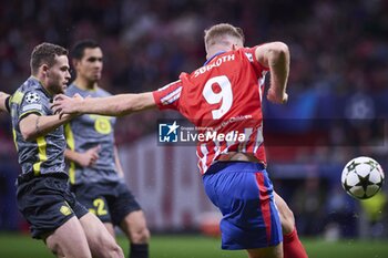 2024-10-23 - UEFA Champions League soccer match Atletico de Madrid vs LOSC at Metropolitano stadium in Madrid, Spain 23 October 2024 900/Cordon Press - UEFA CHAMPIONS LEAGUE: ATLETICO DE MADRID VS LILLE - UEFA CHAMPIONS LEAGUE - SOCCER