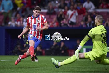 2024-10-23 - UEFA Champions League soccer match Atletico de Madrid vs LOSC at Metropolitano stadium in Madrid, Spain 23 October 2024 900/Cordon Press - UEFA CHAMPIONS LEAGUE: ATLETICO DE MADRID VS LILLE - UEFA CHAMPIONS LEAGUE - SOCCER