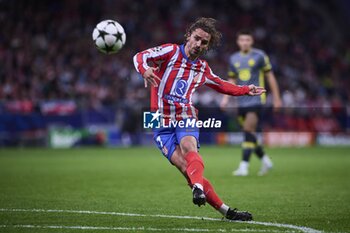 2024-10-23 - UEFA Champions League soccer match Atletico de Madrid vs LOSC at Metropolitano stadium in Madrid, Spain 23 October 2024 900/Cordon Press - UEFA CHAMPIONS LEAGUE: ATLETICO DE MADRID VS LILLE - UEFA CHAMPIONS LEAGUE - SOCCER