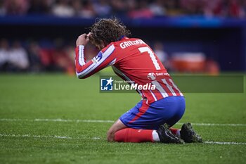 2024-10-23 - UEFA Champions League soccer match Atletico de Madrid vs LOSC at Metropolitano stadium in Madrid, Spain 23 October 2024 900/Cordon Press - UEFA CHAMPIONS LEAGUE: ATLETICO DE MADRID VS LILLE - UEFA CHAMPIONS LEAGUE - SOCCER