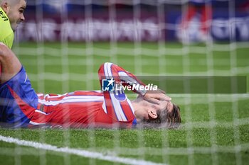 2024-10-23 - UEFA Champions League soccer match Atletico de Madrid vs LOSC at Metropolitano stadium in Madrid, Spain 23 October 2024 900/Cordon Press - UEFA CHAMPIONS LEAGUE: ATLETICO DE MADRID VS LILLE - UEFA CHAMPIONS LEAGUE - SOCCER