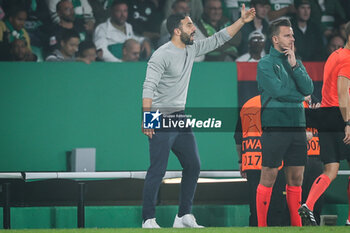 2024-11-05 - Ruben AMORIM of Sporting during the UEFA Champions League, League Phase MD4 football match between Sporting CP and Manchester City on 5 November 2024 at Estadio Jose Alvalade in Lisbon, Portugal - FOOTBALL - CHAMPIONS LEAGUE - SPORTING CP V MANCHESTER CITY - UEFA CHAMPIONS LEAGUE - SOCCER