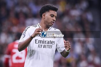 2024-11-05 - UEFA Champions League soccer match Real Madrid vs Milan at Santiago Bernabeu Stadium in Madrid, Spain 05 November 2024 Rodrygo 900/Cordon Press - UEFA CHAMPIONS LEAGUE: REAL MADRID VS MILAN - UEFA CHAMPIONS LEAGUE - SOCCER