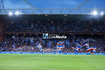 2024-08-11 - Coppa Italia, Italian Cup, Stadio Ferraris, Genova, 11-08-2024, Sampdoria-Como, in the photo: supporters Sampdoria - UC SAMPDORIA VS COMO 1907 - ITALIAN CUP - SOCCER