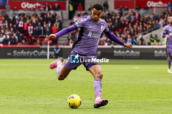 2024-02-17 - Cody Gakpo of Liverpool during the English championship Premier League football match between Brentford and Liverpool on 17 February 2024 at Gtech Community Stadium in Brentford, England - FOOTBALL - ENGLISH CHAMP - BRENTFORD V LIVERPOOL - ENGLISH PREMIER LEAGUE - SOCCER