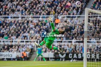 2024-03-30 - West Ham United FC goalkeeper Alphonse Areola during the English championship Premier League football match between Newcastle United and West Ham United on 30 March 2024 at St James's Park in Newcastle, England - FOOTBALL - ENGLISH CHAMP - NEWCASTLE V WEST HAM - ENGLISH PREMIER LEAGUE - SOCCER