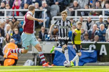 2024-03-30 - Newcastle United FC midfielder Anthony Gordon during the English championship Premier League football match between Newcastle United and West Ham United on 30 March 2024 at St James's Park in Newcastle, England - FOOTBALL - ENGLISH CHAMP - NEWCASTLE V WEST HAM - ENGLISH PREMIER LEAGUE - SOCCER