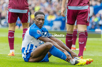 2024-05-05 - Brighton & Hove Albion FC forward Danny Welbeck during the English championship Premier League football match between Brighton and Hove Albion and Aston Villa on 5 May 2024 at the American Express Stadium in Brighton and Hove, England - FOOTBALL - ENGLISH CHAMP - BRIGHTON V ASTON VILLA - ENGLISH PREMIER LEAGUE - SOCCER