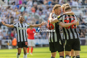 2024-05-11 - Newcastle United FC midfielder Sean Longstaff (36) celebrates his goal 1-1 during the English championship Premier League football match between Newcastle United and Brighton and Hove Albion on 11 May 2024 at St James's Park in Newcastle, England - FOOTBALL - ENGLISH CHAMP - NEWCASTLE V BRIGHTON - ENGLISH PREMIER LEAGUE - SOCCER