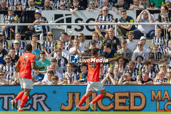 2024-05-11 - Brighton & Hove Albion FC defender Joel Veltman (34) celebrates his goal 0-1 during the English championship Premier League football match between Newcastle United and Brighton and Hove Albion on 11 May 2024 at St James's Park in Newcastle, England - FOOTBALL - ENGLISH CHAMP - NEWCASTLE V BRIGHTON - ENGLISH PREMIER LEAGUE - SOCCER