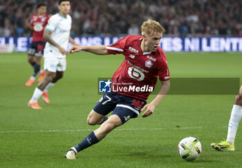 2024-04-05 - Hakon Haraldsson of Lille during the French championship Ligue 1 football match between Lille OSC (LOSC) and Olympique de Marseille (OM) on April 5, 2024 at Stade Pierre Mauroy in Villeneuve-d'Ascq near Lille, France - FOOTBALL - FRENCH CHAMP - LILLE V MARSEILLE - FRENCH LIGUE 1 - SOCCER
