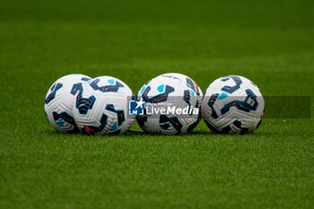 2024-10-12 - The official ball ahead of the French championship, Arkema Premier Ligue football match between Paris FC and Stade de Reims on 12 October 2024 at Sebastien Charlety stadium in Paris, France - FOOTBALL - WOMEN'S FRENCH CHAMP - PARIS FC V REIMS - FRENCH WOMEN DIVISION 1 - SOCCER