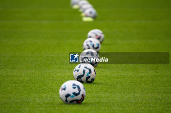 2024-10-20 - The official ball ahead of the Women's French championship, Arkema Premier Ligue football match between Paris FC and Olympique Lyonnais on 20 October 2024 at Sebastien Charlety stadium in Paris, France - FOOTBALL - WOMEN'S FRENCH CHAMP - PARIS FC V LYON - FRENCH WOMEN DIVISION 1 - SOCCER