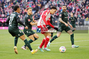 2024-01-21 - Jamal Musiala of Bayern Munich during the German championship Bundesliga football match between Bayern Munich and Werder Bremen on January 21, 2024 at Allianz Arena in Munich, Germany - FOOTBALL - GERMAN CHAMP - BAYERN MUNICH V WERDER BREMEN - GERMAN BUNDESLIGA - SOCCER