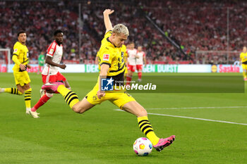 2024-03-30 - Julian Ryerson of Borussia Dortmund during the German championship Bundesliga football match between Bayern Munich and Borussia Dortmund on March 30, 2024 at Allianz Arena in Munich, Germany - FOOTBALL - GERMAN CHAMP - BAYERN MUNICH V DORTMUND - GERMAN BUNDESLIGA - SOCCER