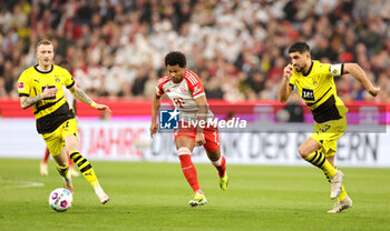 2024-03-30 - Serge Gnabry of Bayern Munich and Marco Reus, Emre Can of Borussia Dortmund during the German championship Bundesliga football match between Bayern Munich and Borussia Dortmund on March 30, 2024 at Allianz Arena in Munich, Germany - FOOTBALL - GERMAN CHAMP - BAYERN MUNICH V DORTMUND - GERMAN BUNDESLIGA - SOCCER