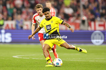 2024-03-30 - Ian Maatsen of Borussia Dortmund during the German championship Bundesliga football match between Bayern Munich and Borussia Dortmund on March 30, 2024 at Allianz Arena in Munich, Germany - FOOTBALL - GERMAN CHAMP - BAYERN MUNICH V DORTMUND - GERMAN BUNDESLIGA - SOCCER