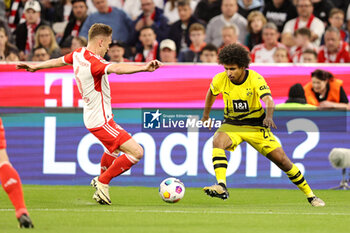 2024-03-30 - Joshua Kimmich of Bayern Munich and Karim Adeyemi of Borussia Dortmund during the German championship Bundesliga football match between Bayern Munich and Borussia Dortmund on March 30, 2024 at Allianz Arena in Munich, Germany - FOOTBALL - GERMAN CHAMP - BAYERN MUNICH V DORTMUND - GERMAN BUNDESLIGA - SOCCER