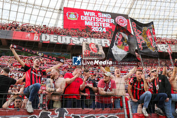 2024-05-18 - Bayer Leverkusen fans celebrating the German championship title after the German championship Bundesliga football match between Bayer 04 Leverkusen and FC Augsburg on May 18, 2024 at BayArena in Leverkusen, Germany - FOOTBALL - GERMAN CHAMP - LEVERKUSEN V AUGSBURG - GERMAN BUNDESLIGA - SOCCER