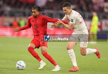 2024-11-22 - Michael Olise of Bayern Munich and Keven Schlotterbeck of Augsburg during the German championship Bundesliga football match between Bayern Munich and Augsburg on 22 November 2024 at Allianz Arena in Munich, Germany - FOOTBALL - GERMAN CHAMP - BAYERN MUNICH V AUGSBURG - GERMAN BUNDESLIGA - SOCCER