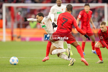 2024-11-22 - Alexis Claude-Maurice of Augsburg and Serge Gnabry of Bayern Munich during the German championship Bundesliga football match between Bayern Munich and Augsburg on 22 November 2024 at Allianz Arena in Munich, Germany - FOOTBALL - GERMAN CHAMP - BAYERN MUNICH V AUGSBURG - GERMAN BUNDESLIGA - SOCCER