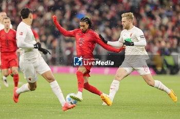 2024-11-22 - Michael Olise of Bayern Munich and Arne Maier of Augsburg during the German championship Bundesliga football match between Bayern Munich and Augsburg on 22 November 2024 at Allianz Arena in Munich, Germany - FOOTBALL - GERMAN CHAMP - BAYERN MUNICH V AUGSBURG - GERMAN BUNDESLIGA - SOCCER