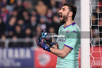 2024-02-14 - ACF Fiorentina's goalkeeper Pietro Terracciano - BOLOGNA FC VS ACF FIORENTINA - ITALIAN SERIE A - SOCCER