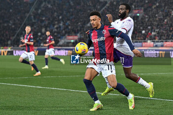 2024-02-14 - Bologna FC's forward Dan Ndoye against ACF Fiorentina's midfielder Jonathan Ikone - BOLOGNA FC VS ACF FIORENTINA - ITALIAN SERIE A - SOCCER