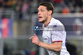 2024-02-14 - ACF Fiorentina's forward Andrea Belotti - BOLOGNA FC VS ACF FIORENTINA - ITALIAN SERIE A - SOCCER