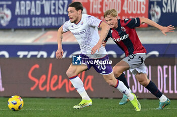 2024-02-14 - ACF Fiorentina's forward Andrea Belotti against Bologna FC's defender Victor Kristiansen - BOLOGNA FC VS ACF FIORENTINA - ITALIAN SERIE A - SOCCER